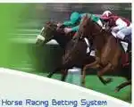 Horse Racing Betting Systems